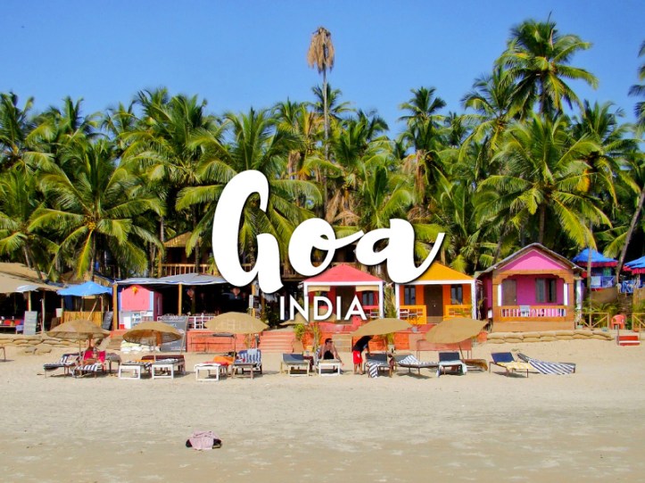 best scuba diving in north goa in best price