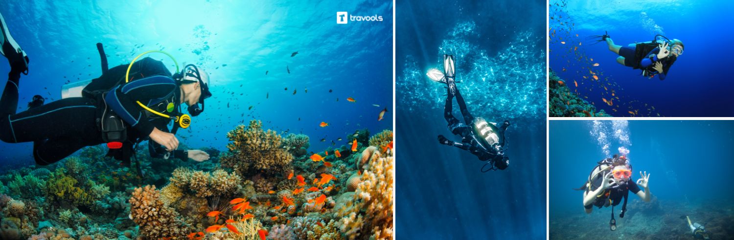 malvan scuba diving in goa