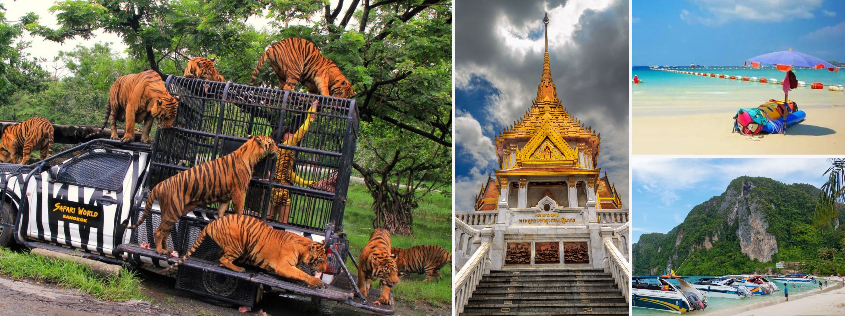 bangkok pattaya phuket tour package with phi phi island