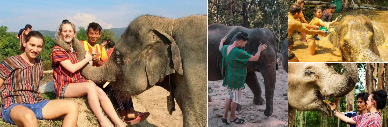 Elephant Jungle Sanctuary Chiang Mai